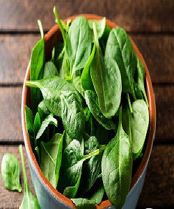 SPINACH